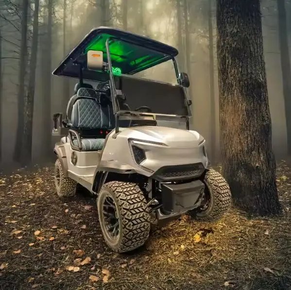 Family Modern Forward Four City Single Scooter Lithium Battery Club Car Golf Cart