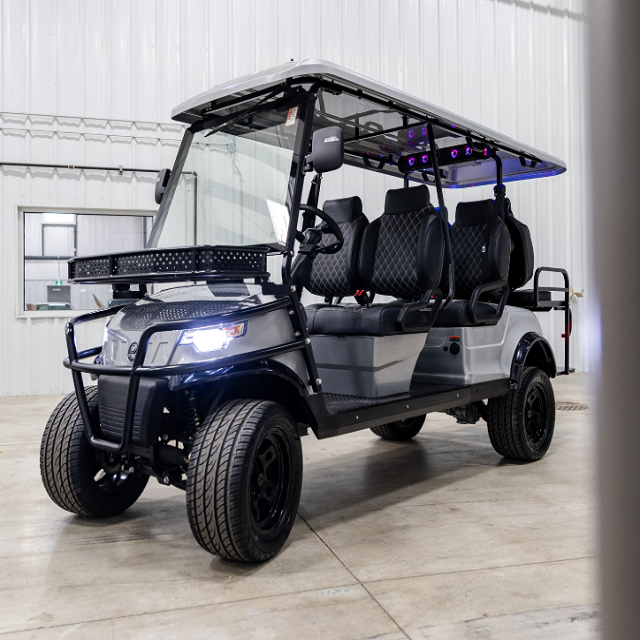 Premium Quality 4 to 6 Passenger Classic Enclosed Gas Golf Cart for Sale Buy Now In Stock with Fast Delivery and Affordable