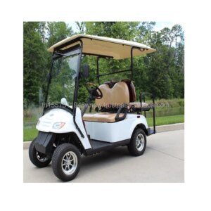 Thailand Top Quality Cheap 4 Wheel Electric Golf Cart for Sale Gasoline and Electric Available