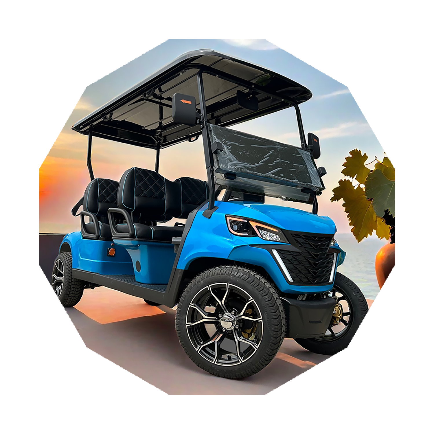 Top Quality 5000W Lithium Battery Rechargeable 2+2 Seats Utility Electric Golf Carts Buggy