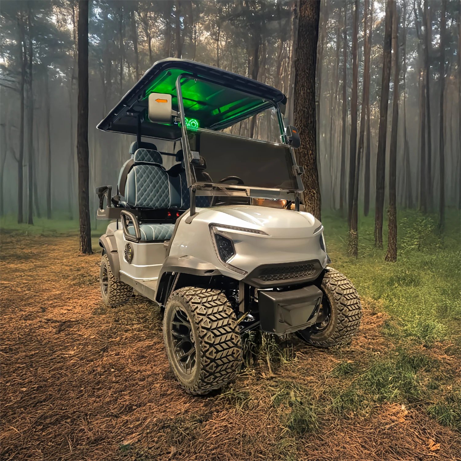 Transport City Small Remote Unique Luxury Passenger Seater Mini Electric Golf Cart